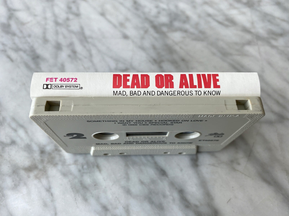 Dead or Alive – Mad Bad And Dangerous To Know (1986)