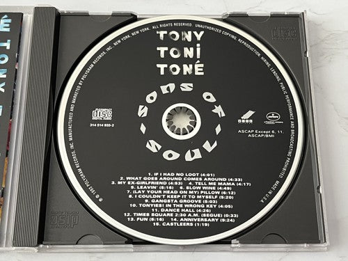 Tony Toni Tone – Sons of Soul (1993)