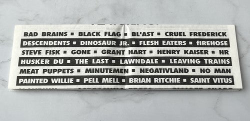 Black Flag – Wasted Again