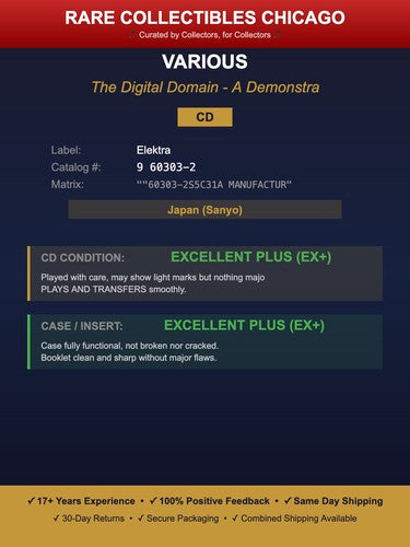 The Digital Domain A Demonstration [JAPAN TARGET ERA]