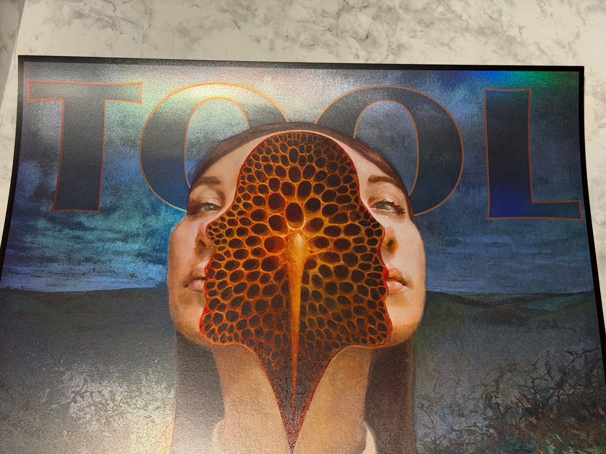 TOOL Poster Chicago 2019 LOW NUMBER 269/750 United Center Miles Johnston