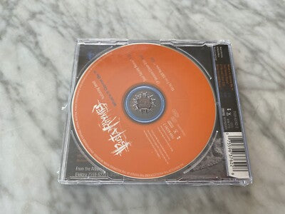 Busta Rhymes – What's It Gonna Be (1999) [GERMAN PRESS]