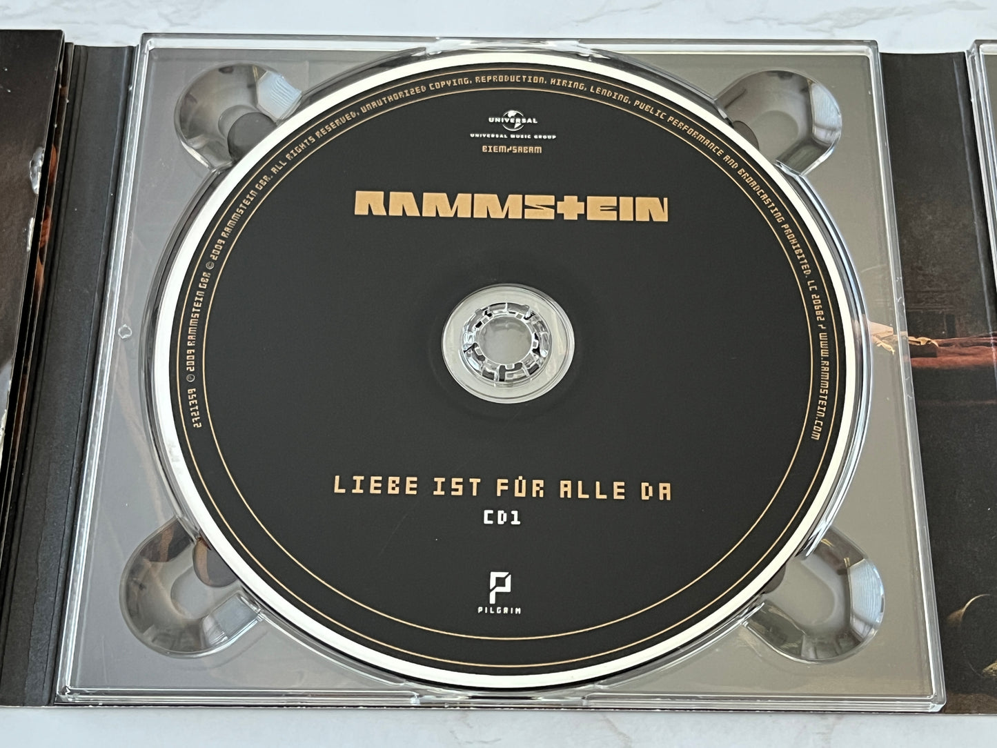 Rammstein – Liebe Ist Für Alle Da (2009)