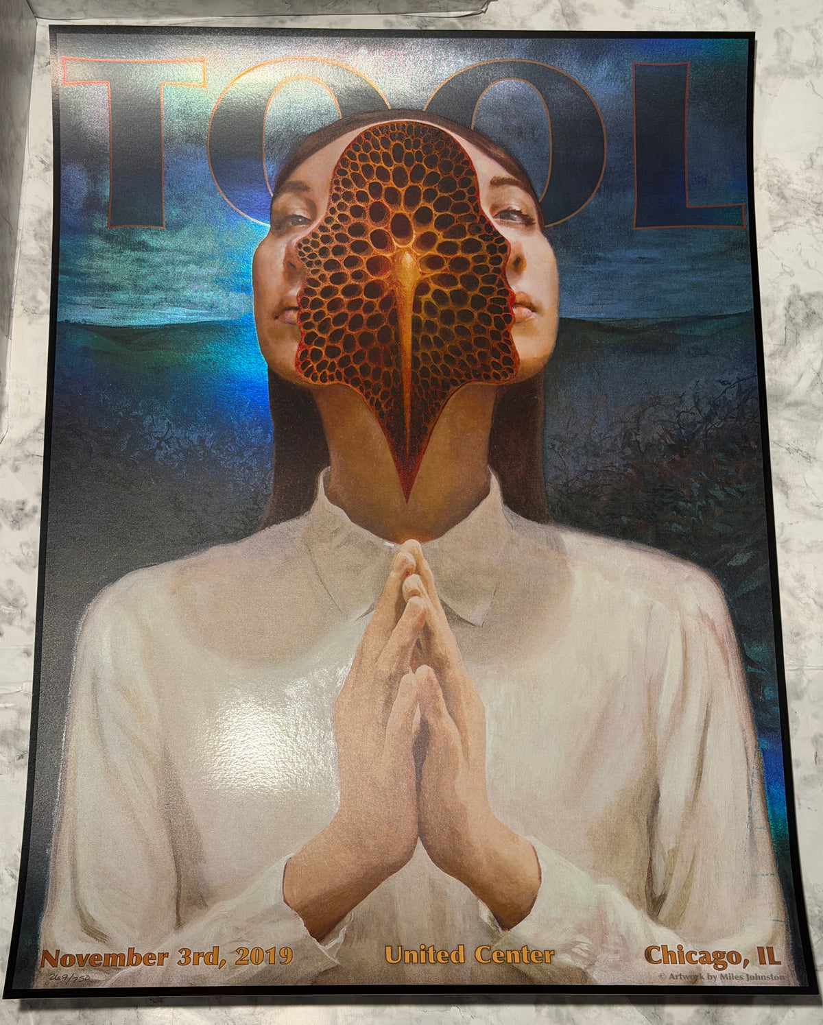 TOOL Poster Chicago 2019 LOW NUMBER 269/750 United Center Miles Johnston