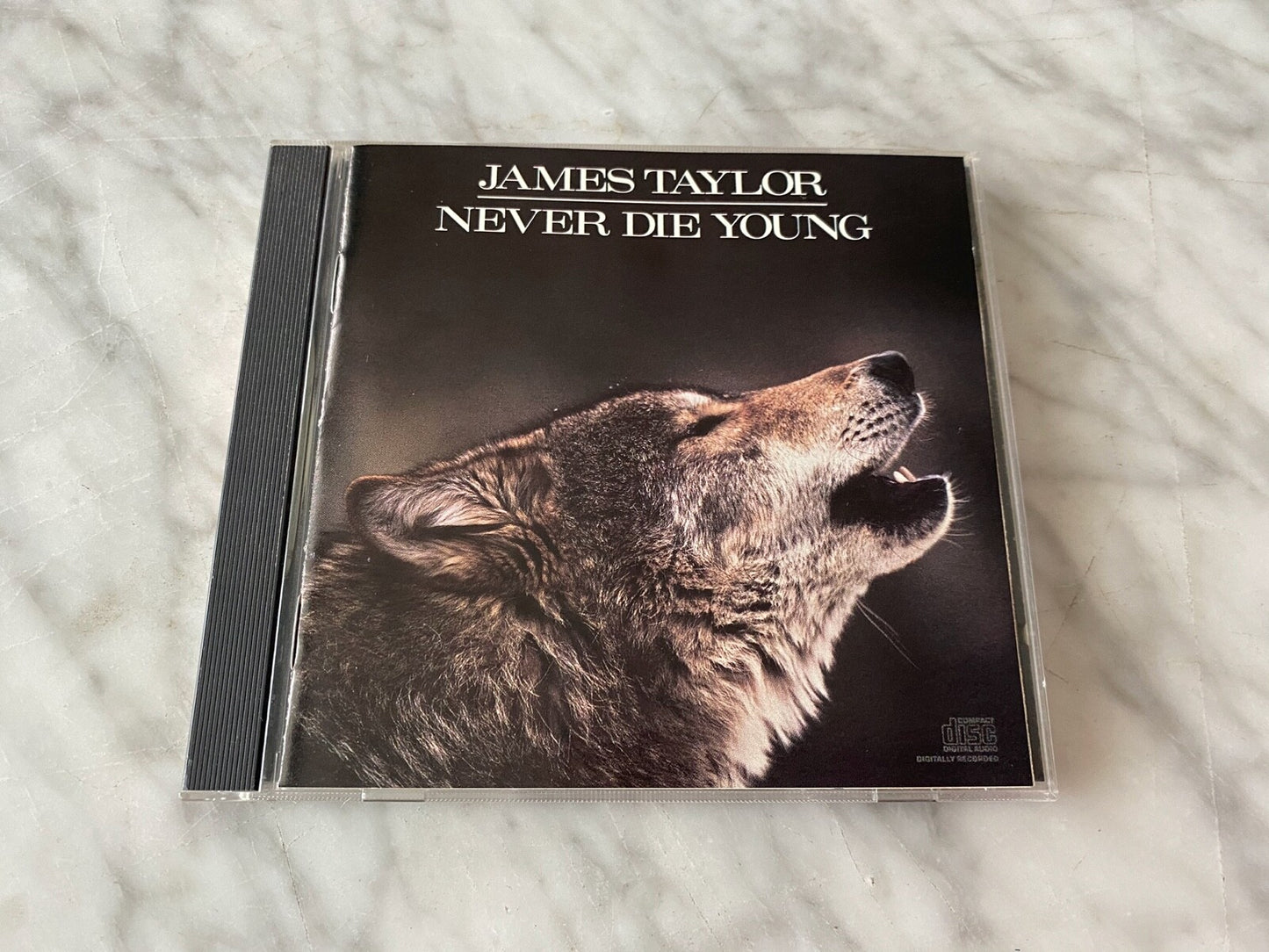 James Taylor – Never Die Young