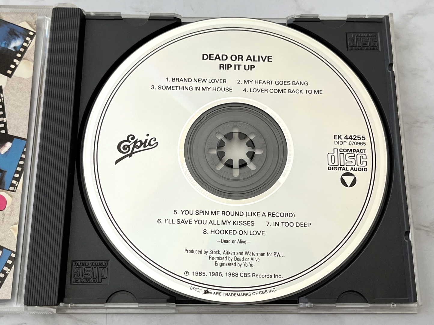 Dead or Alive – Rip It Up