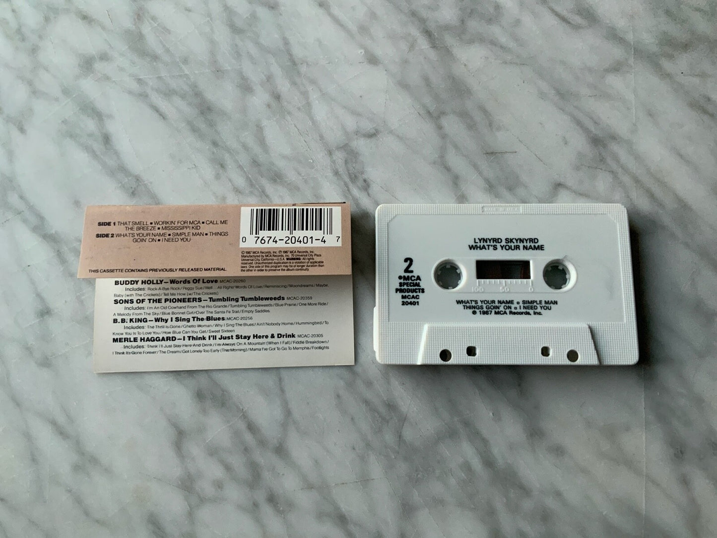 Lynyrd Skynyrd – What's Your Name (1987)