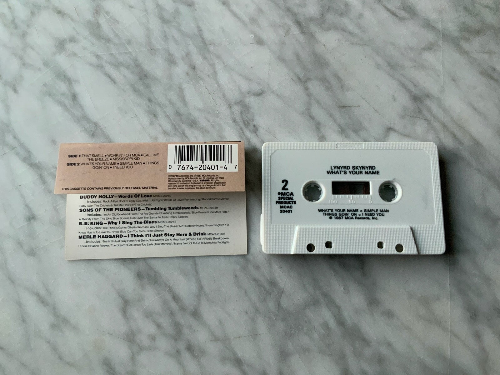 Lynyrd Skynyrd – What's Your Name (1987)