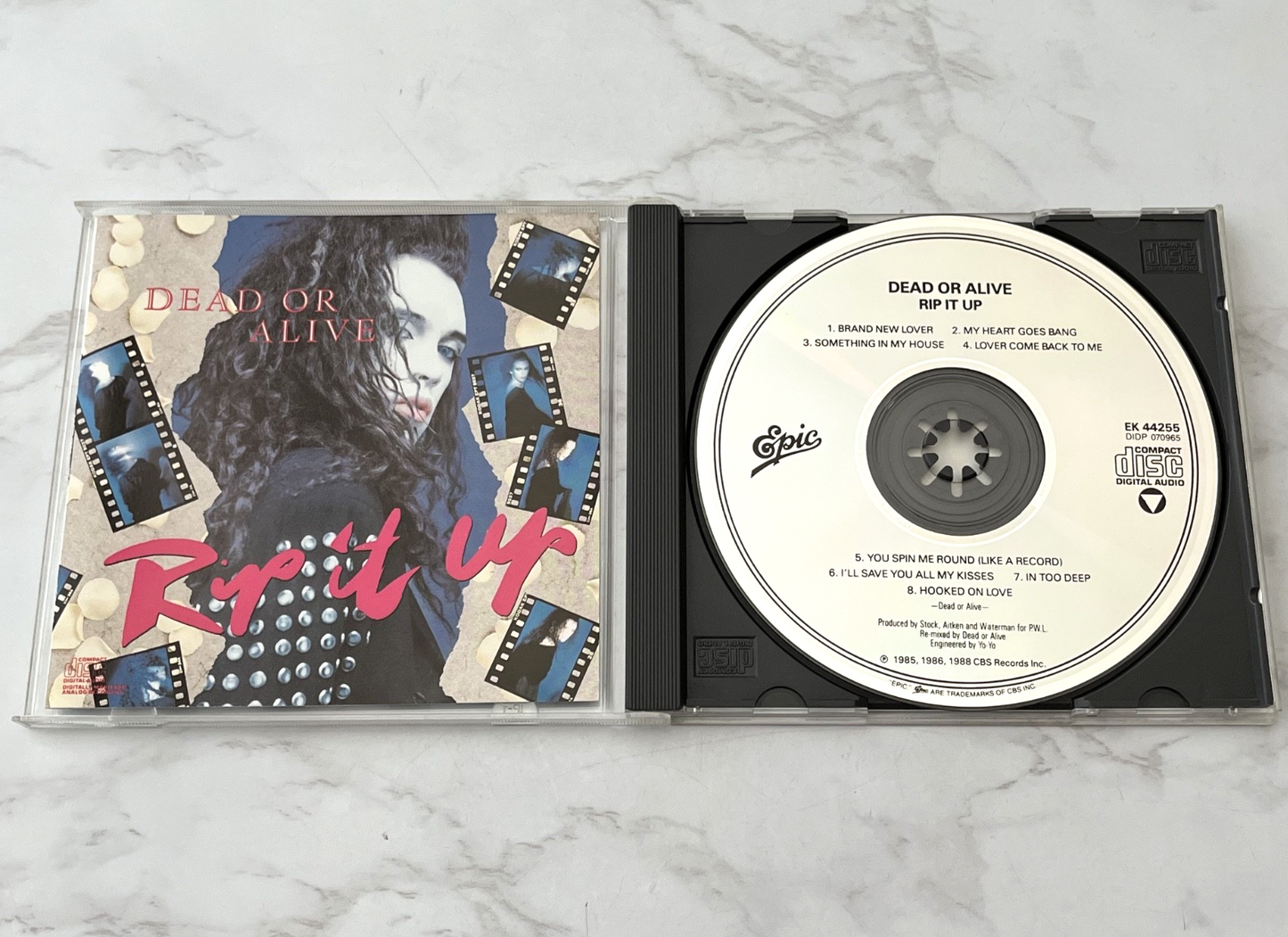 Dead or Alive – Rip It Up