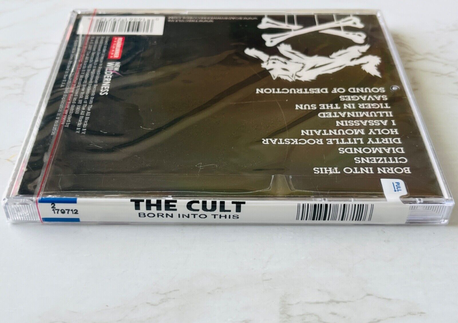 The Cult – Born Into This (2007)