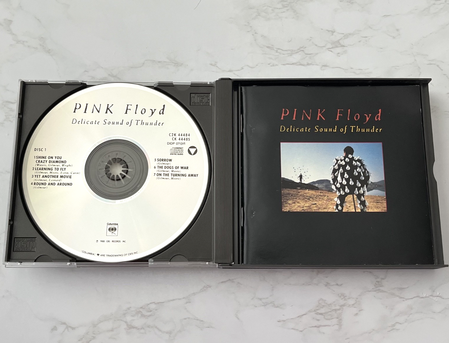 Pink Floyd – Delicate Sound Of Thunder 2