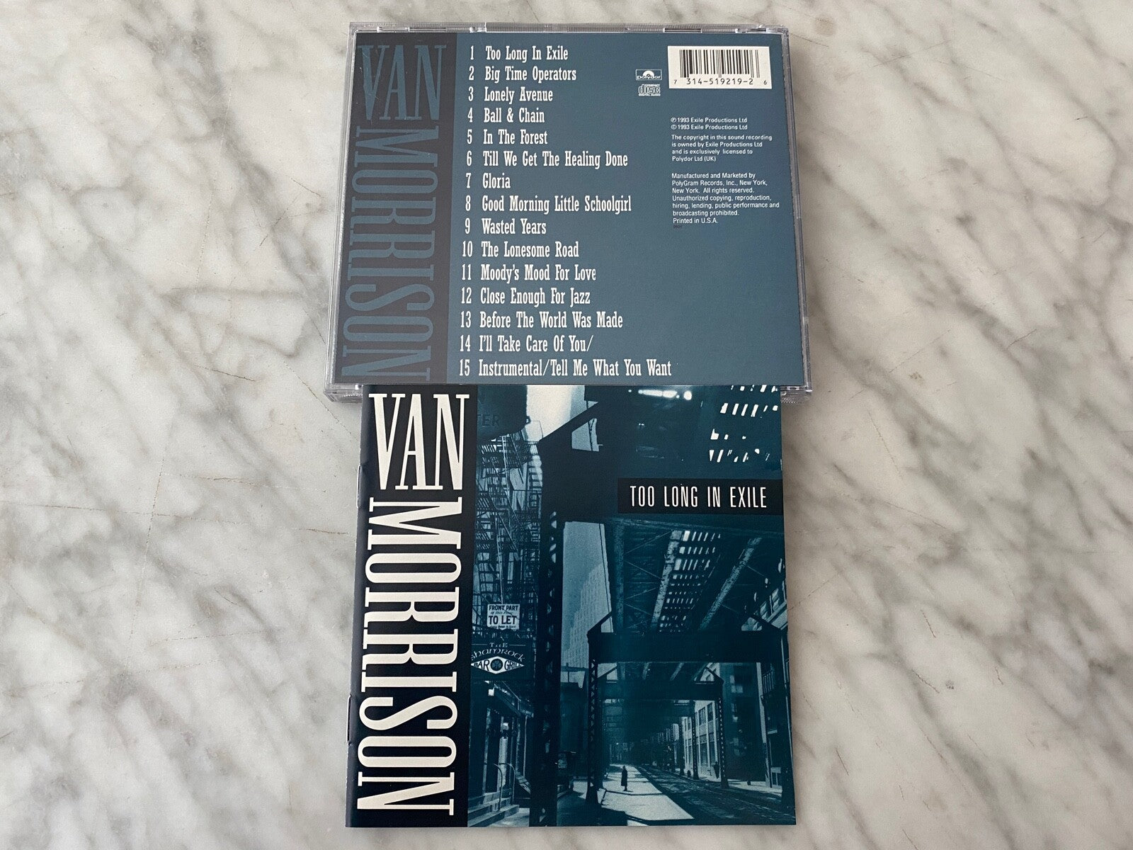Van Morrison – Too Long In Exile (1993)