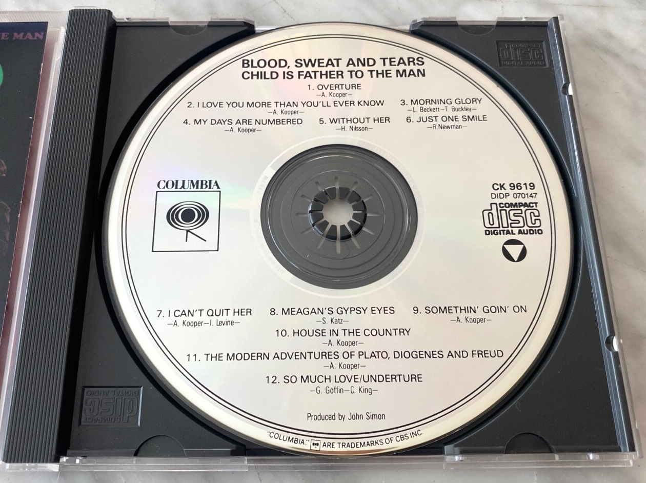 Blood Sweat & Tears – Child Is Father To The Man