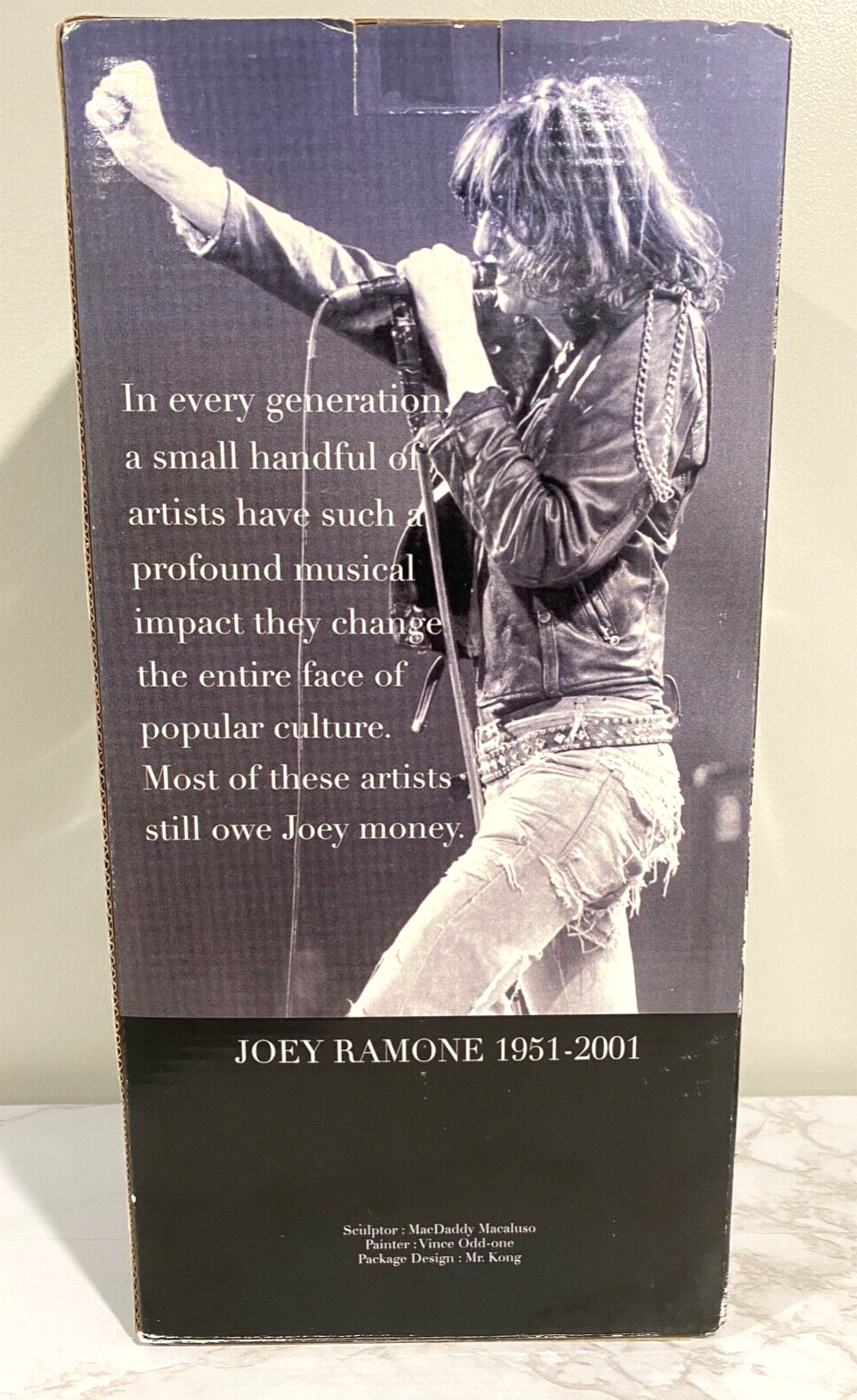 Joey Ramone Hey Ho Let's Go! Figure 2003 Stronghold w/Sunglasses & Mic Stand! (2003)