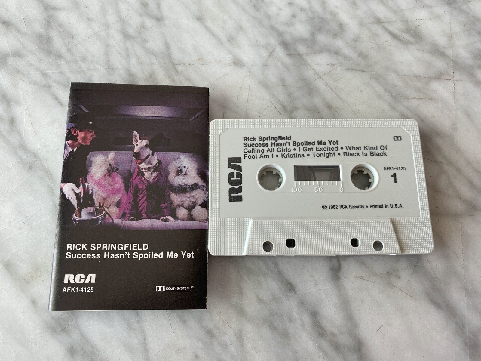 Rick Springfield – Success Hasn't Spoiled Me Yet (1982)