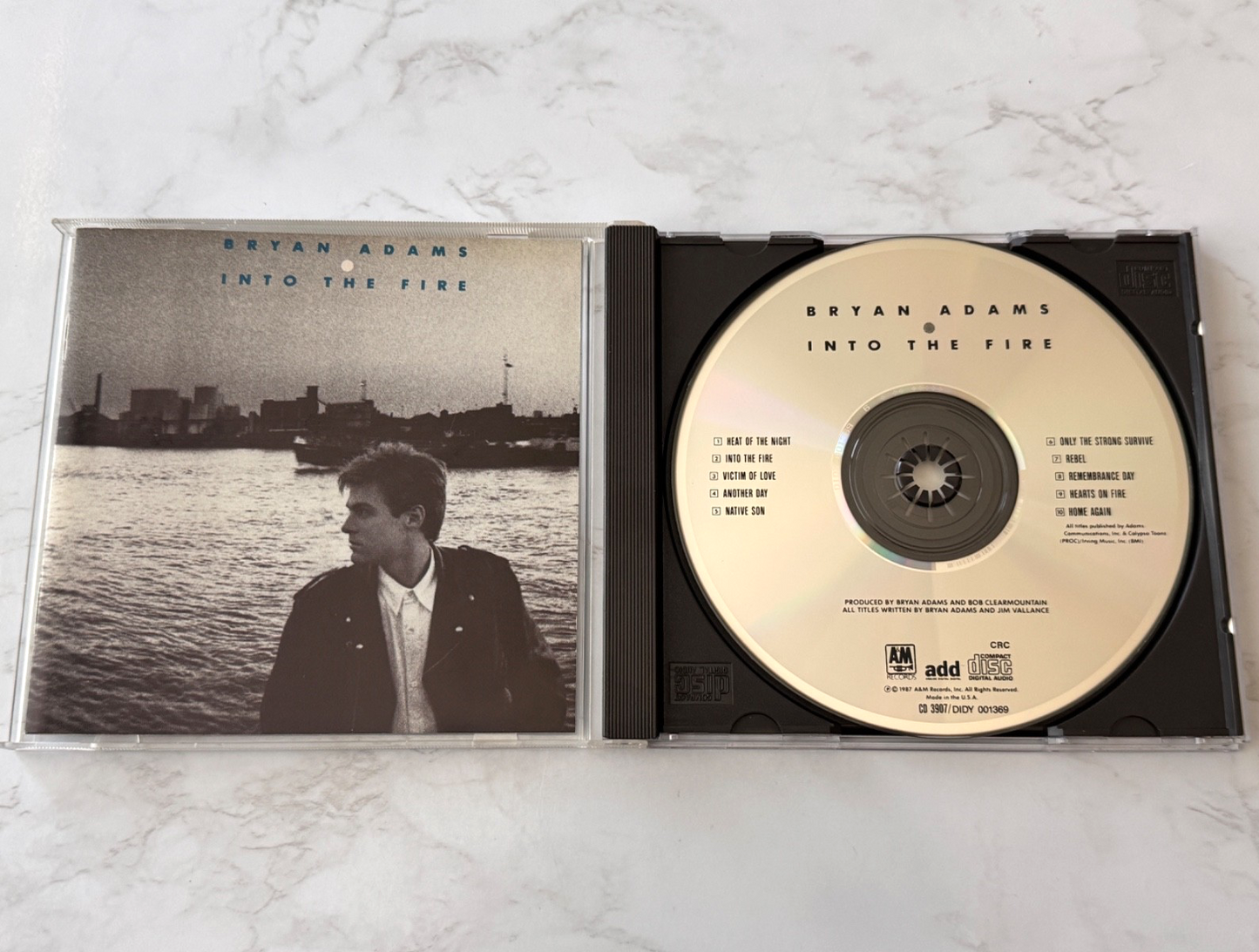 Bryan Adams – Into The Fire