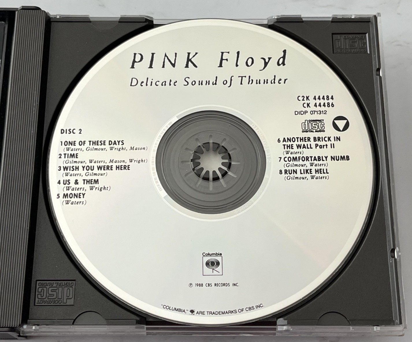 Pink Floyd – Delicate Sound Of Thunder 2
