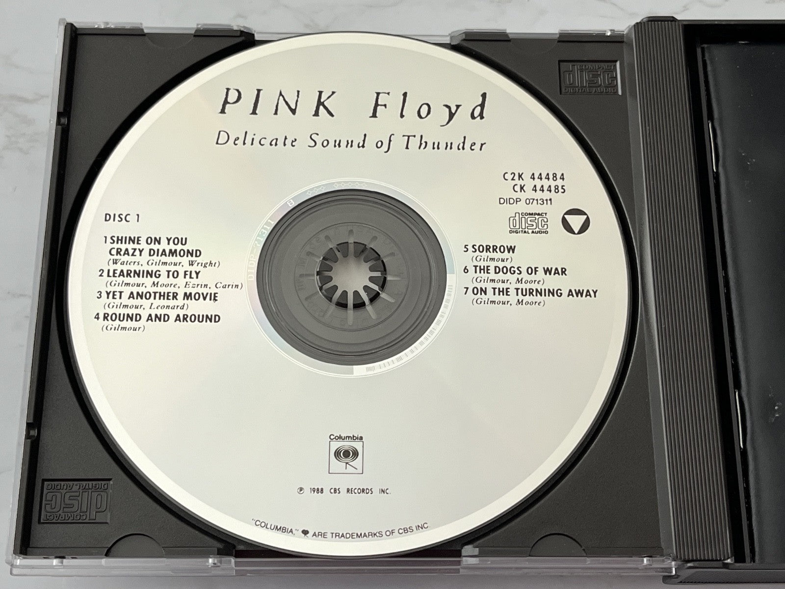 Pink Floyd – Delicate Sound Of Thunder 2