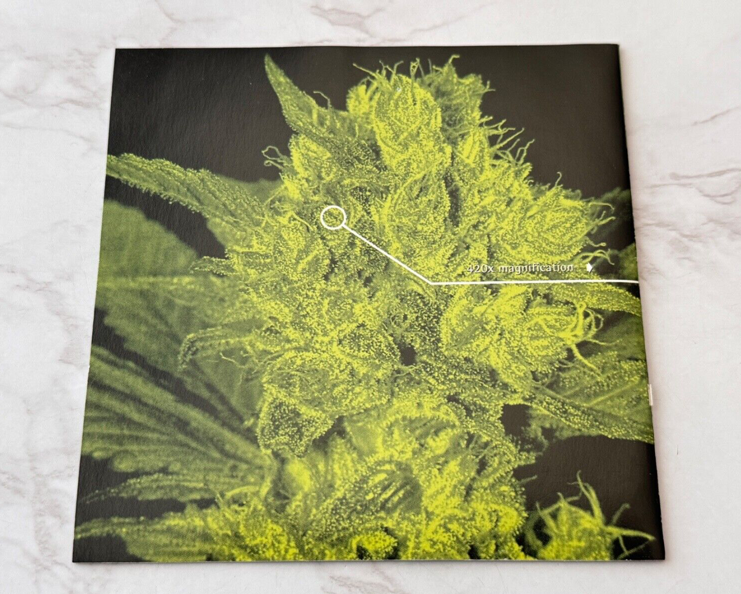 Bongzilla – Stash (1999)