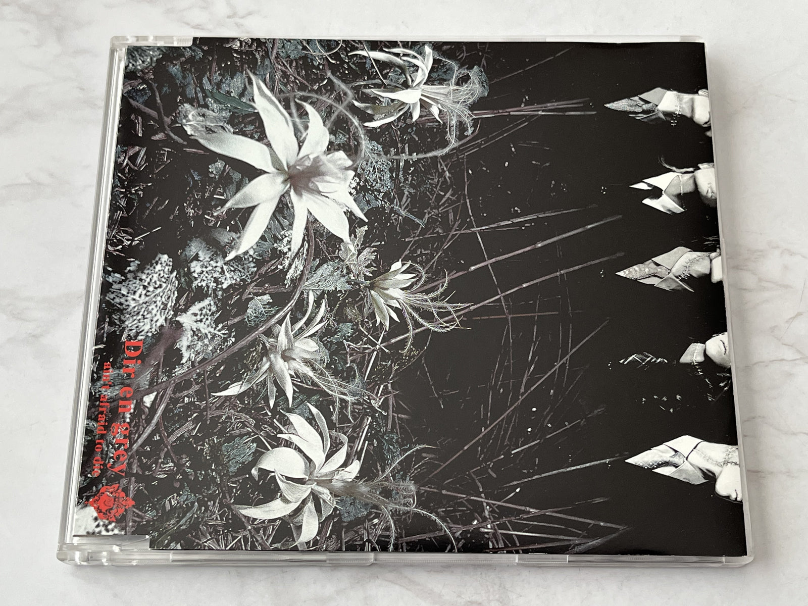 Dir en Grey – Ain't Afraid To Die (Maxi Single) (2001) [JAPAN PRESS]