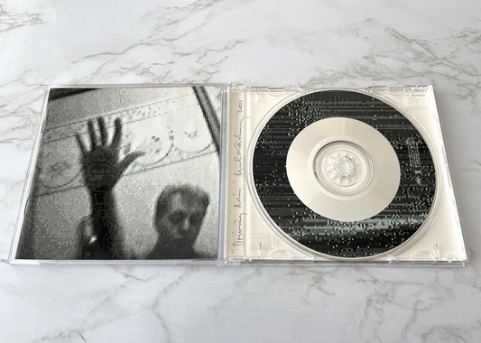 Paul McCartney – Driving Rain (2001)