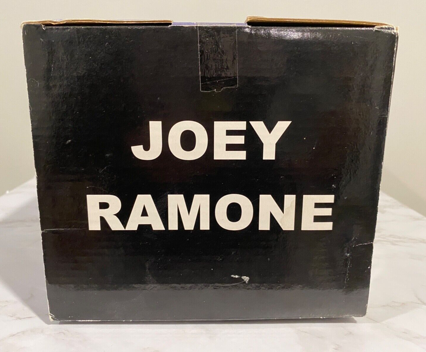 Joey Ramone Hey Ho Let's Go! Figure 2003 Stronghold w/Sunglasses & Mic Stand! (2003)