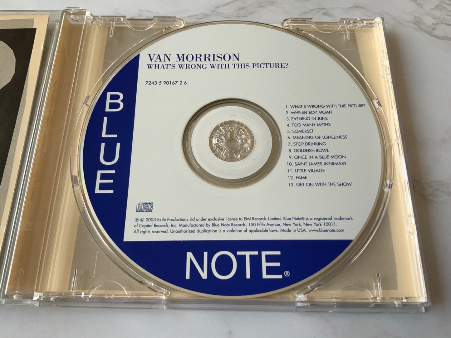 Van Morrison – What's Wrong With This Picture (2003)