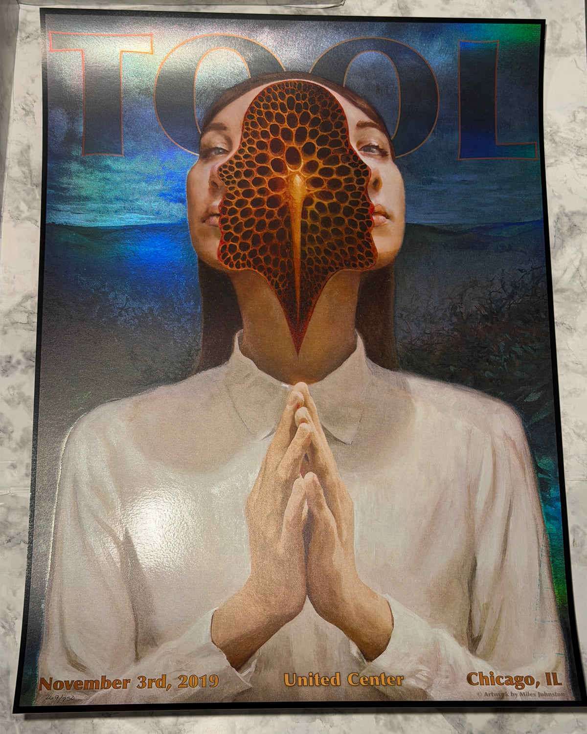 TOOL Poster Chicago 2019 LOW NUMBER 269/750 United Center Miles Johnston