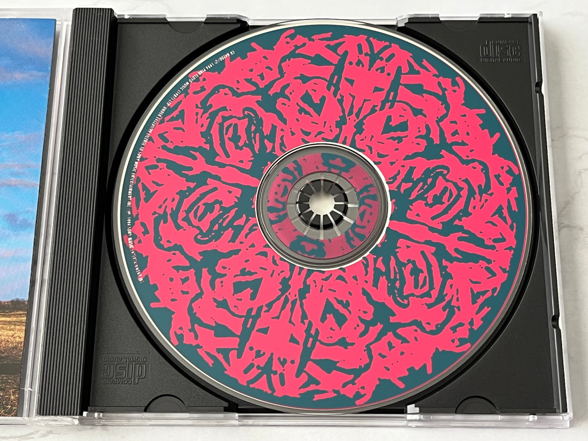 Pink Floyd – The Division Bell (1994)