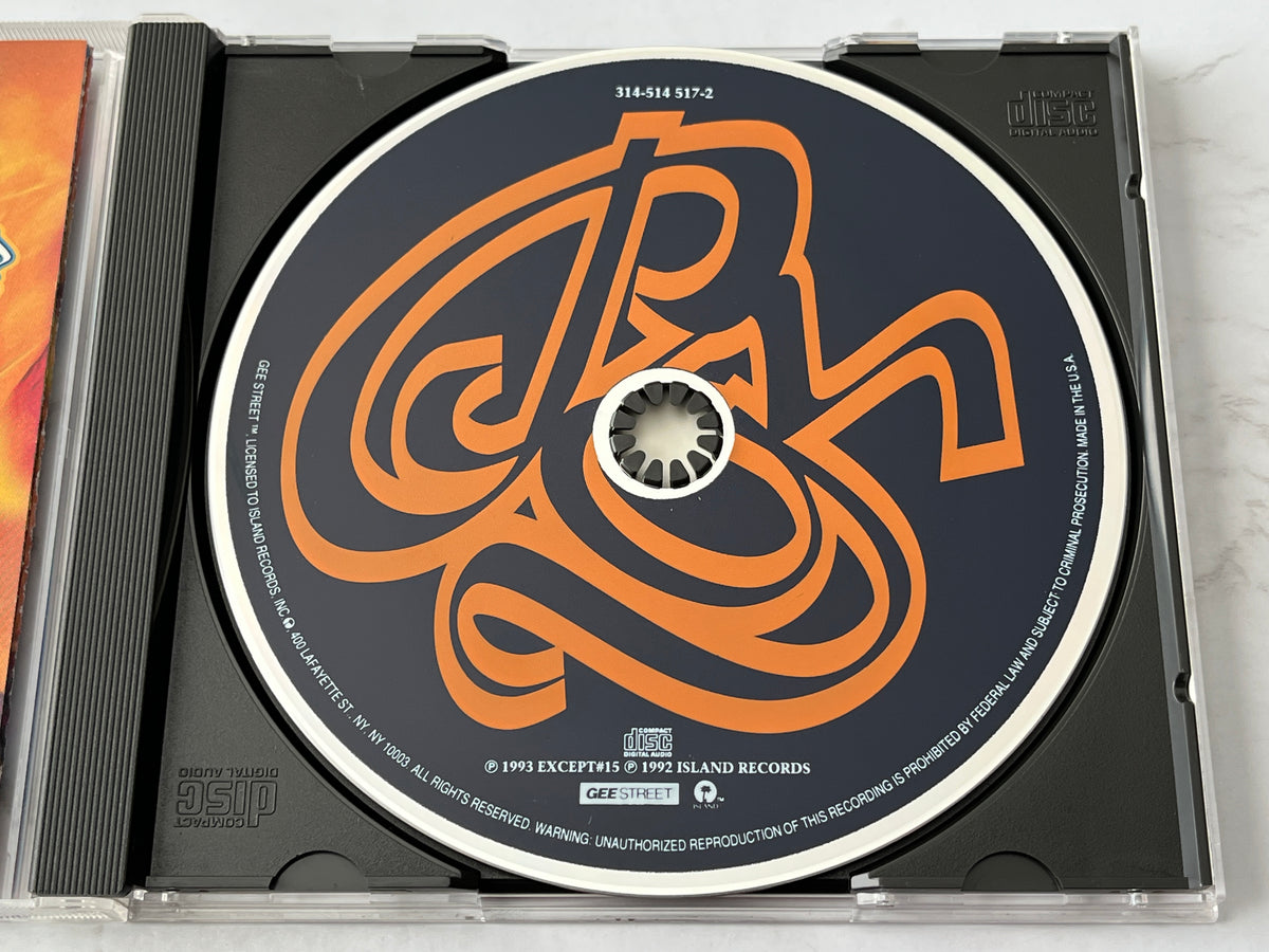 P.M. Dawn – The Bliss Album...? (1993)