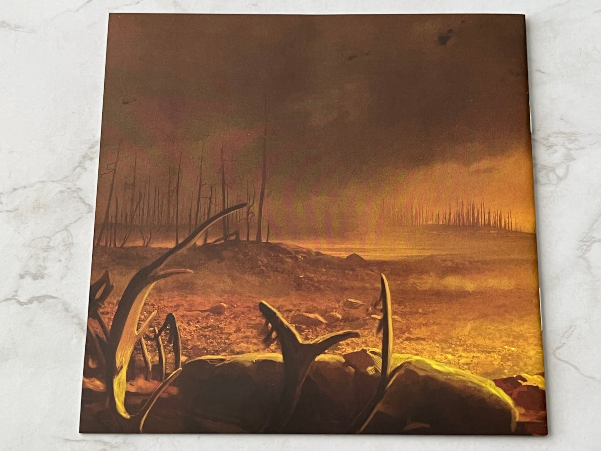Children Of Bodom – I Worship Chaos (CD + DVD) (2015)