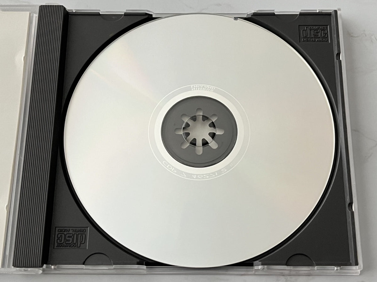 Pet Shop Boys – Please (1986)