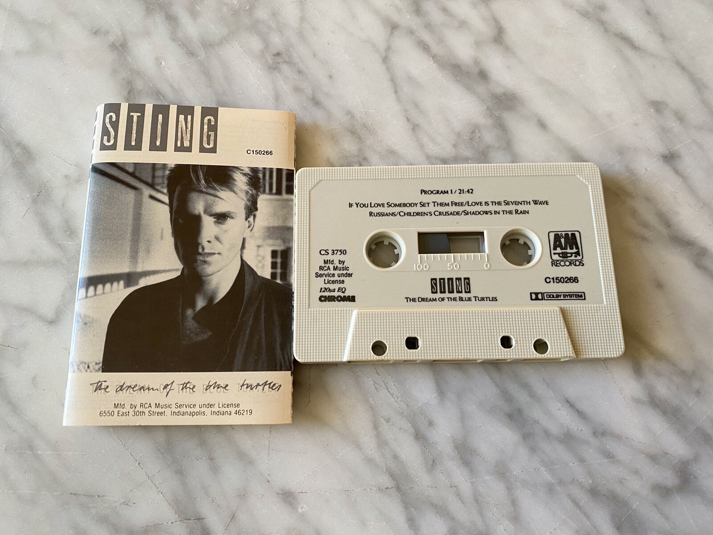 Sting – The Dream Of The Blue Turtles (1985)