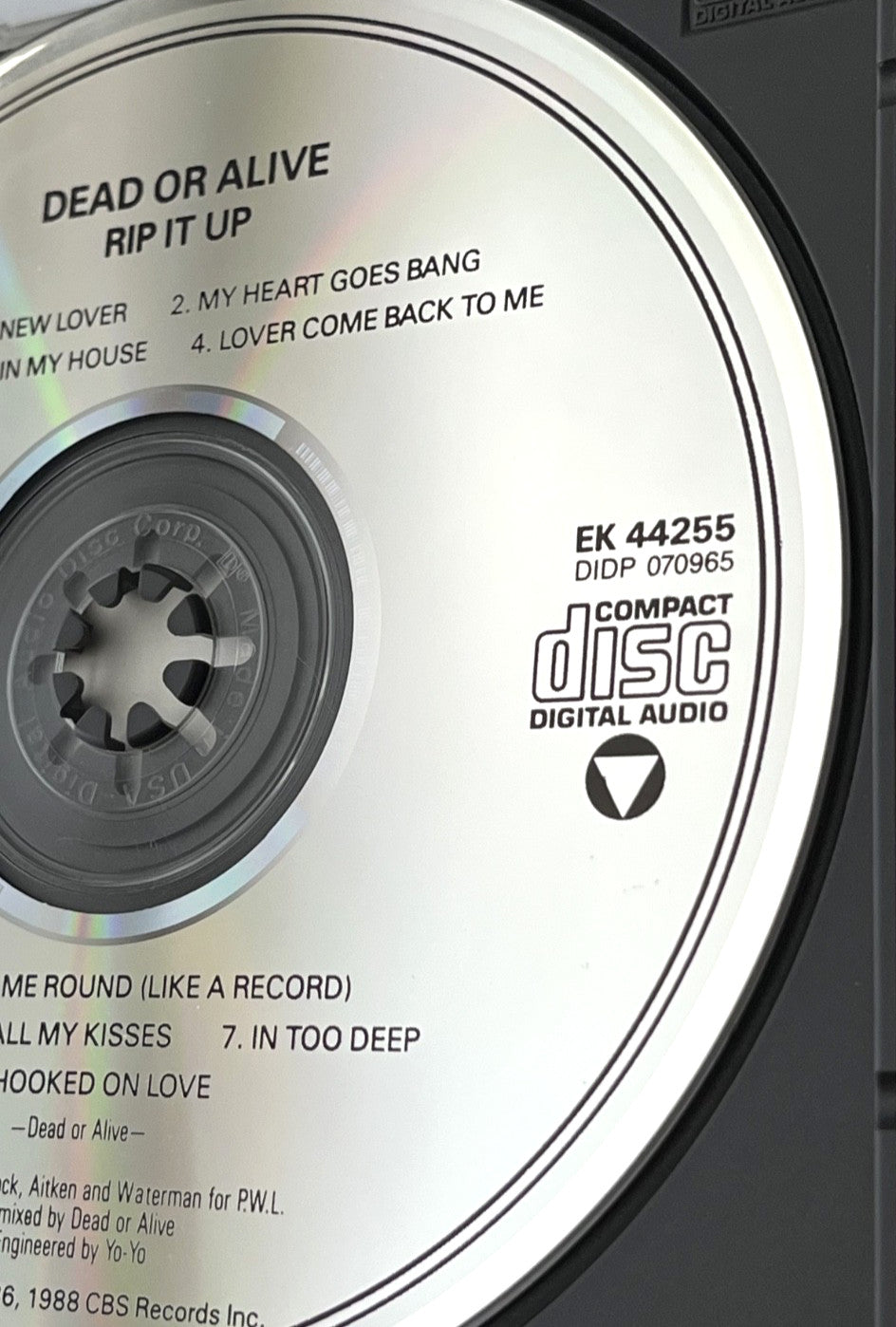 Dead or Alive – Rip It Up [DADC PRESS]