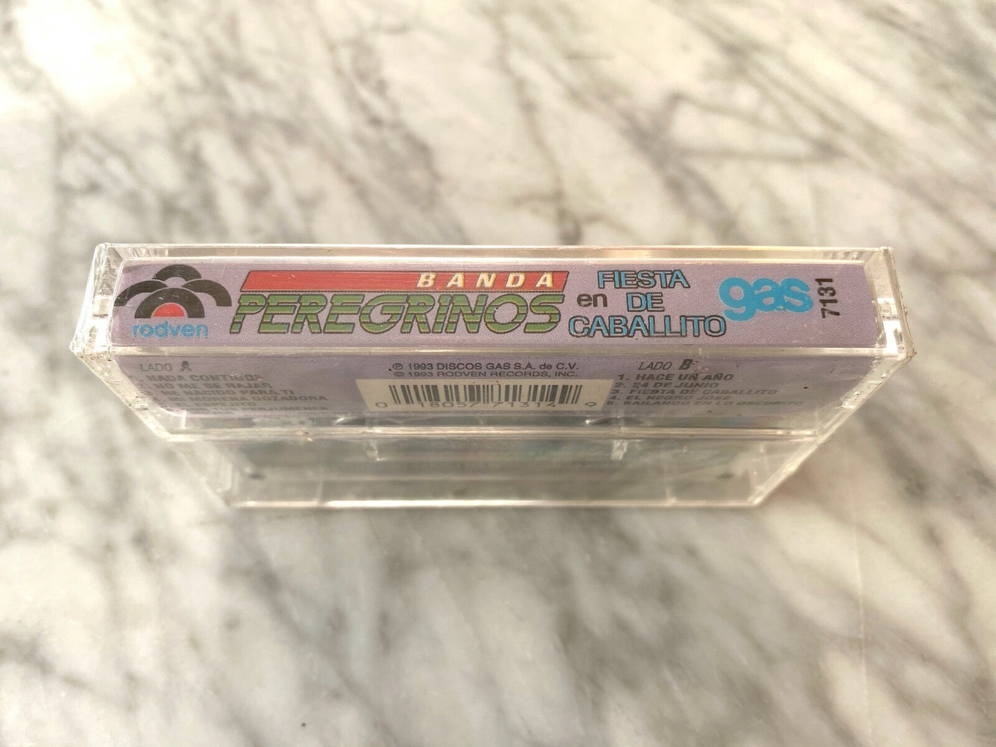 Banda Peregrinos – En Fiesta De Caballito