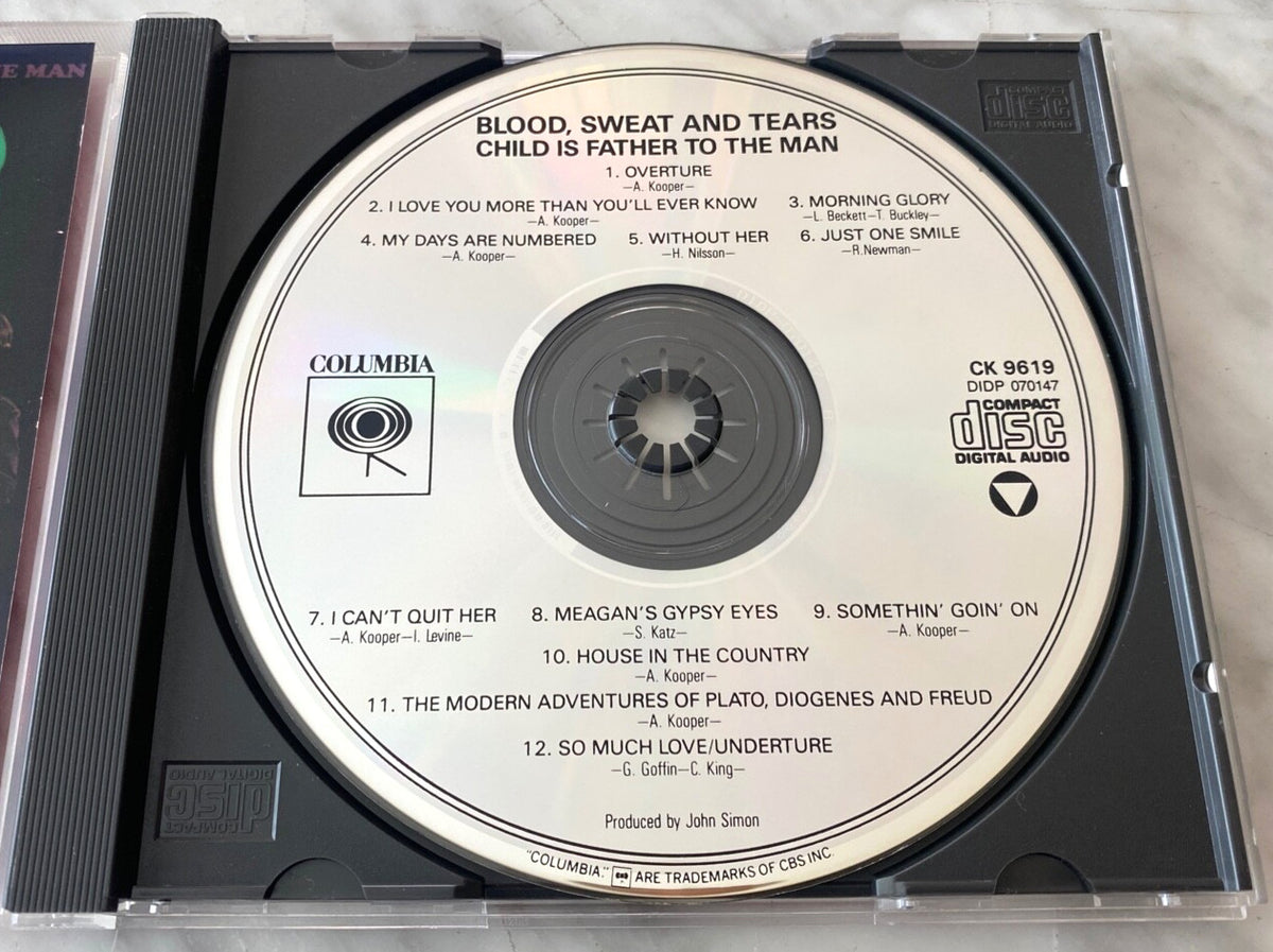 Blood Sweat & Tears – Child Is Father To The Man