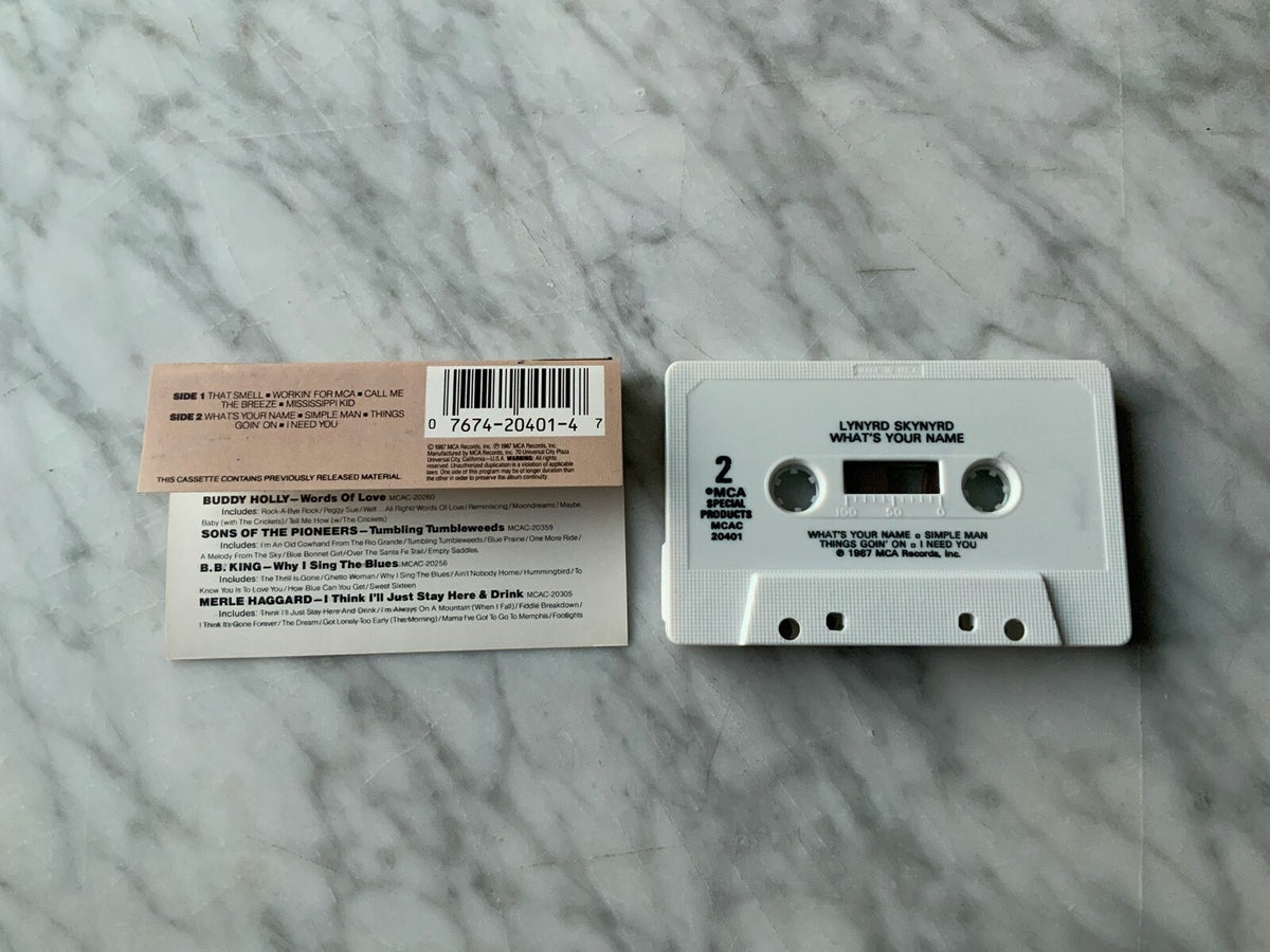 Lynyrd Skynyrd – What's Your Name (1987)