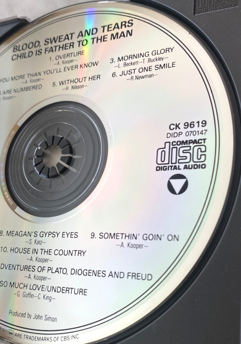Blood Sweat & Tears – Child Is Father To The Man
