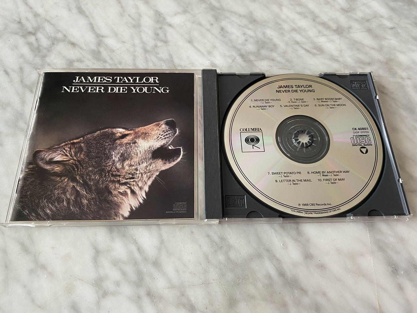 James Taylor – Never Die Young