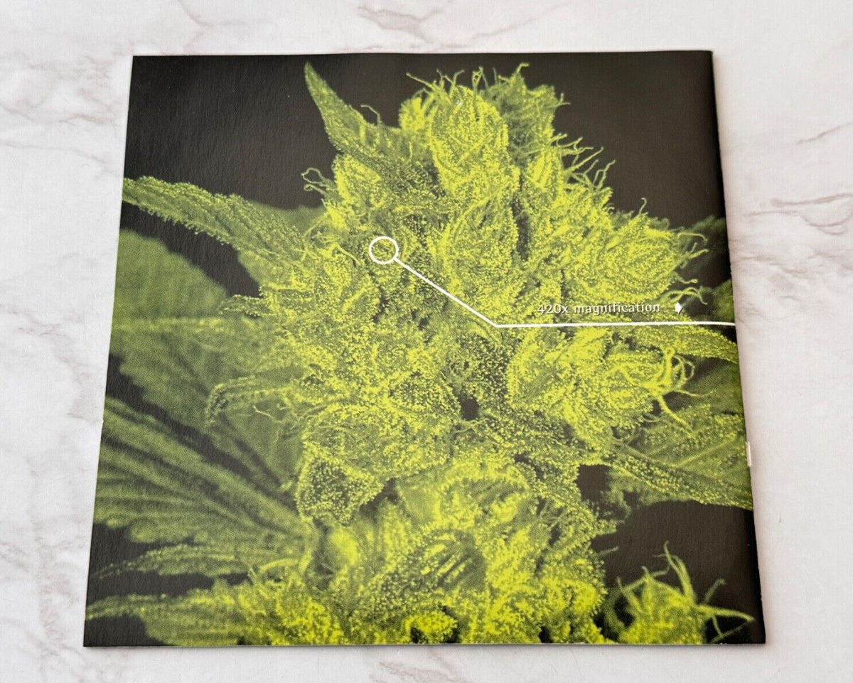 Bongzilla – Stash (1999) [ORIGINAL USA PRESS]